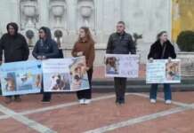 Volontari in piazza per il cane Blanco: il randagio ustionato con olio bollente