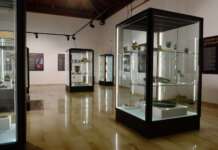 Al Museo della Baronia omaggio a Werner Johannowsky
