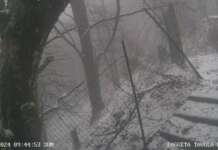 FOTO/ Irpinia, montagne imbiancate: neve anche in alcuni paesi
