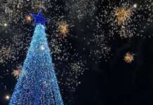 Il 7 dicembre si accende il grande Albero di Natale targato Pro Loco Paupisi con luci, musica e spettacolo di fuochi pirotecnici