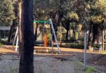 Napoli, Santagada annuncia “riapertura Parco Mascagna il 25 gennaio”. Altri 3 alberi da tagliare