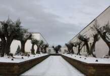 Difesa del pomodoro campano: ci sono anche i ricercatori Biogem