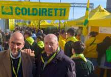 Prevenzione della brucellosi bufalina: Coldiretti Campania invita alla disinfezione delle stalle