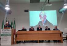 Manfredi e Sales: “Il sindaco Di Nunno poteva cambiare il Sud”