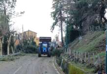 Alburni, torna alla normalità la viabilità messa a rischio dal maltempo dei giorni scorsi