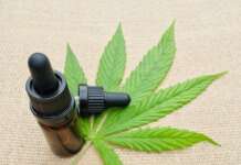 Industria della cannabis: nel 2025 prevista una crescita del 40% grazie a nuove tendenze e abitudini di consumo