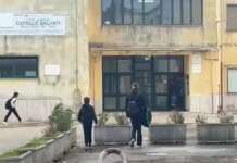 Prof arrestata per abusi, altri alunni confermano le accuse