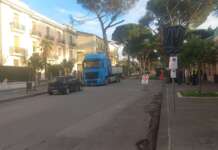 L’opposizione incalza l’Amministrazione: “Ancora nessuna sostituzione dei pini abbattuti su Viale degli Atlantici”