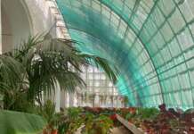 Reggia di Caserta apre al pubblico le Serre di Graefer