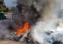 Rifiuti in fiamme nel Casertano, interviene vigilanza WWF