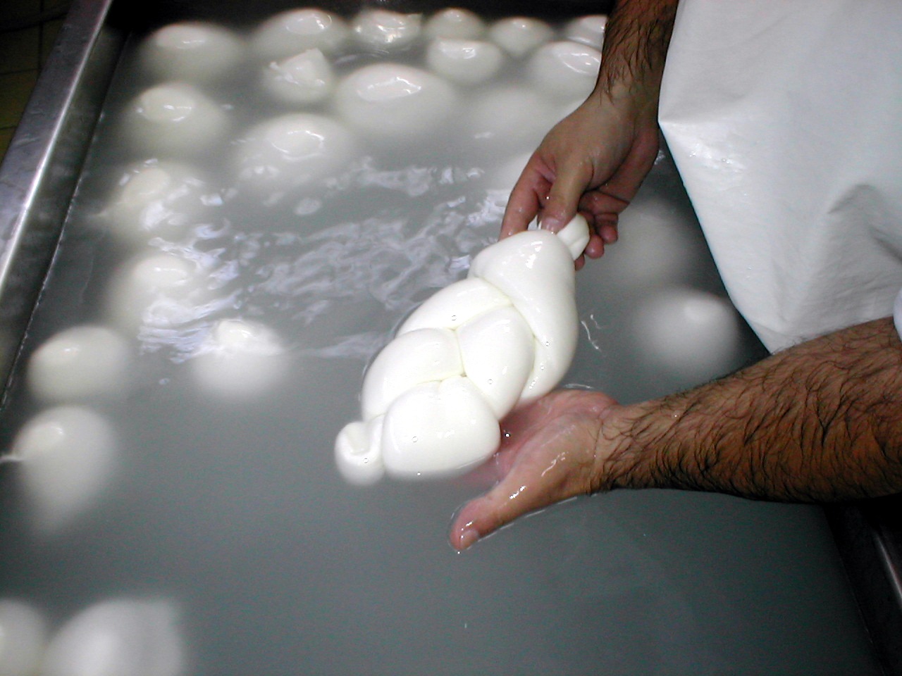 Coldiretti Campania da Anteprima24.it Coldiretti Campania avanti tutta in favore della filiera del latte bufalino e della mozzarella di bufalo