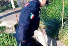 Eboli, sequestro per inquinamento di un’azienda bufalina