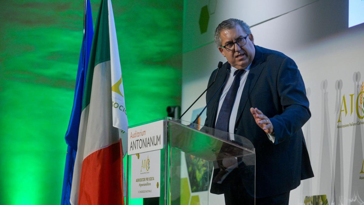 Cavolfiore della Piana del Sele IGP, Scaglione: “Vince l’agroalimentare di eccellenza” Cavolfiore della Piana del Sele IGP, Scaglione: “Vince l’agroalimentare di eccellenza”