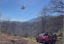 Resta incastrato sotto un grosso ramo: in elisoccorso al Moscati