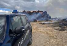 A fuoco 500 rotoballe: indagano i Carabinieri