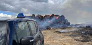 A fuoco 500 rotoballe: indagano i Carabinieri