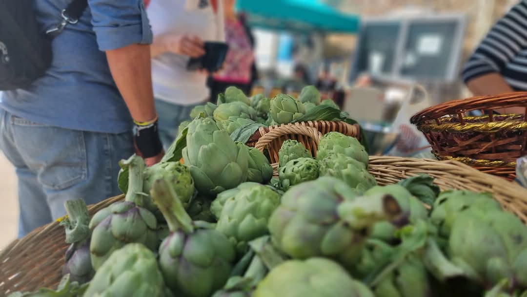 Sagra del da Anteprima24.it Sagra del carciofo bianco nelle stesse date Pertosa attacca la Proloco Auletta Scelta sgarbata