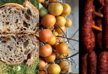 ‘Geo’, il Sannio protagonista su Rai 3 fra tradizioni e tipicità alimentari