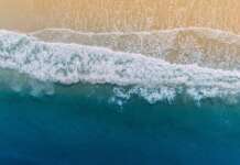 San Giovanni a Piro, ‘Cinque Vele’ con dedica al Mediterraneo e a Gaza