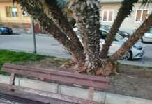 FOTO/ Mercatello, petizione dei residenti per riqualificare i giardinetti