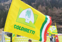 Dazi, Coldiretti: autosufficienza alimentare diventa priorità per 79% italiani