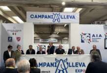 CampaniAlleva ai nastri di partenza, 500 espositori e animali pregiati: “Stimato indotto da oltre 2milioni”