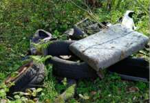 Discarica abusiva, la denuncia della Guardia Agroforestale