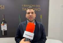 VIDEO/ Tommaso, dal Brasile al Vinitaly per scoprire la magia dei vini sanniti