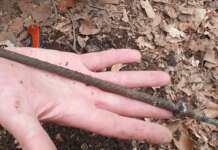 Sele-Tanagro, chiodi in strada per impedire il passaggio dei veicoli in montagna