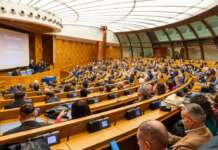 Gattini lanciati dall’auto in corsa: episodio discusso in Parlamento