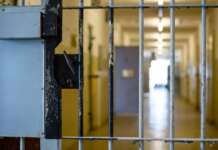 Tentato femminicidio Taddeo, i giudici chiamati a decidere sulla misura cautelare di Petrucciani