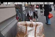 Le Giustiziere e il tribunale dei social: non si difendono così gli animali