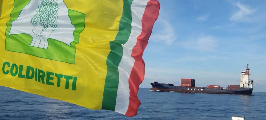uva da tavola e verdura dall africa coldiretti campania al porto di salerno chiarezza sulle importazioni