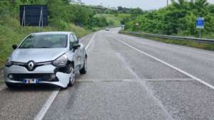 foto fondo valle vitulanese auto investe un cinghiale animale ucciso sul colpo da Anteprima24.it foto fondo valle vitulanese auto investe un cinghiale animale ucciso sul colpo