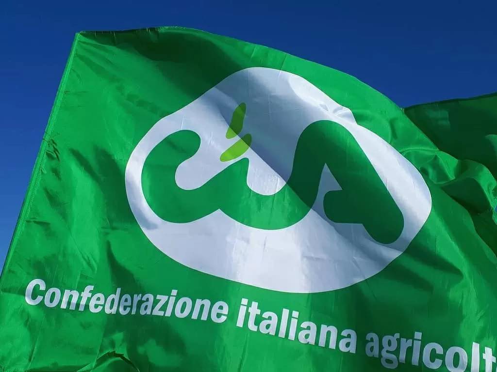 CIA Campania protagonista a Campania Alleva: street food, degustazioni e show cooking CIA Campania protagonista a Campania Alleva: street food, degustazioni e show cooking