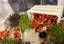 A Campoli del Monte Taburno la Festa della Ciliegia con tanti sapori e novità