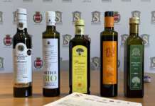 ‘Olio delle Sirene’, l’oro verde campano protagonista: assegnato il premio della critica