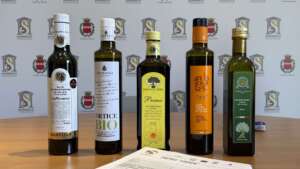 Premio ‘Olio delle Sirene’, l’oro verde campano protagonista: sul podio un’azienda sannita Premio ‘Olio delle Sirene’, l’oro verde campano protagonista: sul podio un’azienda sannita