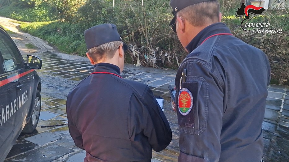 Scarico illecito di acque reflue: denunciato commerciante irpino Scarico illecito di acque reflue: denunciato commerciante irpino