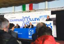 CampaniAlleva Expo 2025: lunedi 5 maggio la conferenza stampa di presentazione, tante novità in programma