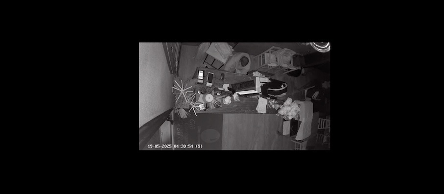 VIDEO/ Furto a volto scoperto nel ristorante: caccia al responsabile VIDEO/ Furto a volto scoperto nel ristorante: caccia al responsabile