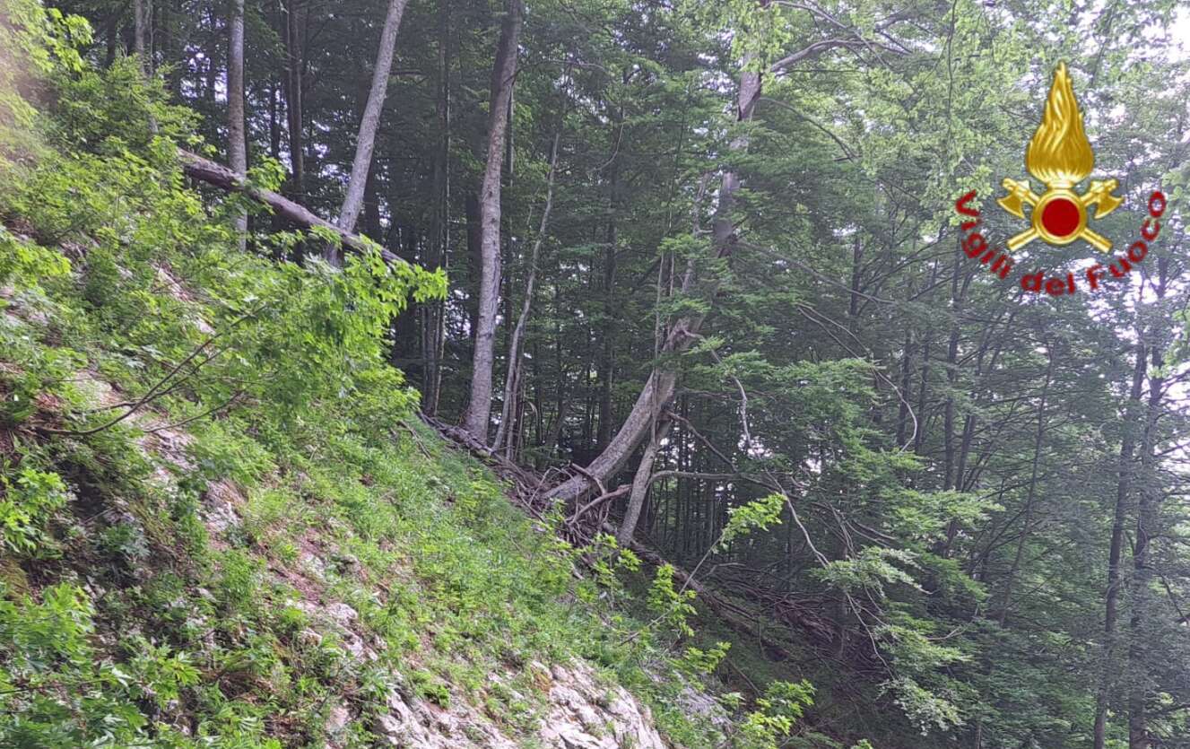 Monte Acellica, escursionista disperso: in corso operazioni di soccorso Monte Acellica, escursionista disperso: in corso operazioni di soccorso