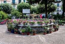 “Benevento in Fiore”: un successo di colori, profumi e partecipazione