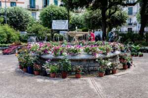 benevento in fiore un successo di colori profumi e partecipazione