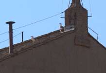 Non solo Campania: prima fumata nera, oggi secondo giorno del Conclave