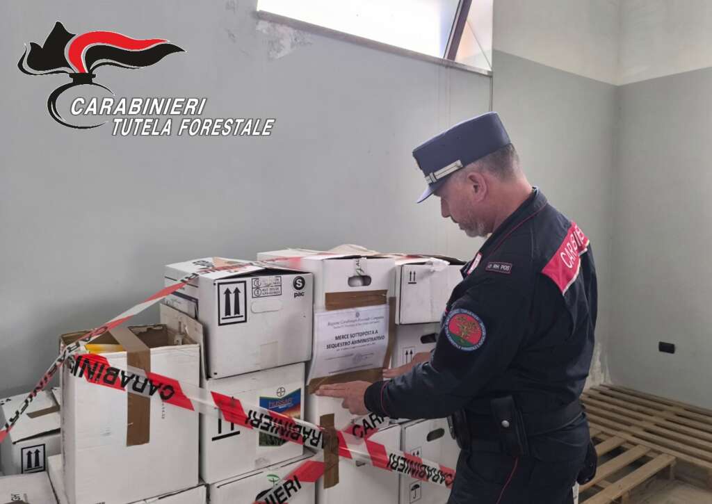 san giorgio del sannio irregolarità in un azienda agricola sequestrati 406kg di prodotti