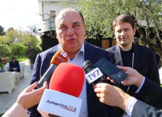 Forza Italia, Martusciello blinda D’Agostino: giudicato dai risultati