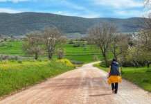 Benevento, tornano le passeggiate del ‘Progetto Gaia – Il mondo Nascosto’