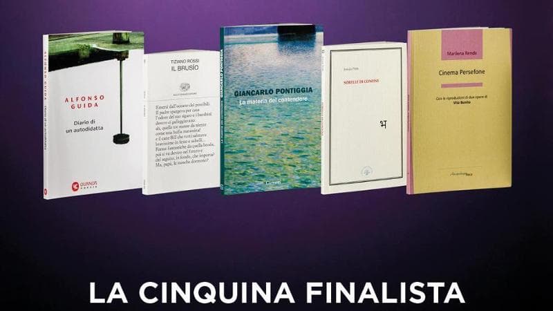 Premio Strega Poesia 2025: in cinquina Pontiggia, Rossi e Renda Premio Strega Poesia 2025: in cinquina Pontiggia, Rossi e Renda