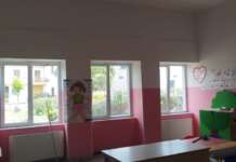 Dimensionamento scolastico e sanità delle aree interne: divari e soluzioni